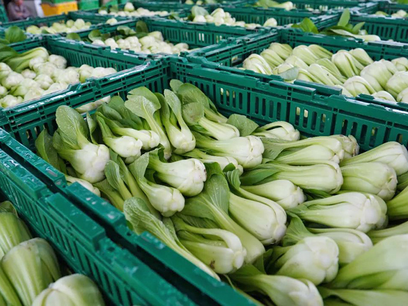塑料周轉筐應用於超市(shì)菜架